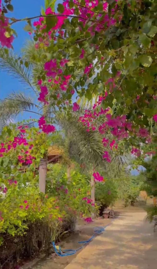 Sea Breeze Villas - Gili Air, Lombok Ngoại thất bức ảnh